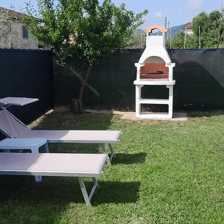 Gli Ulivi