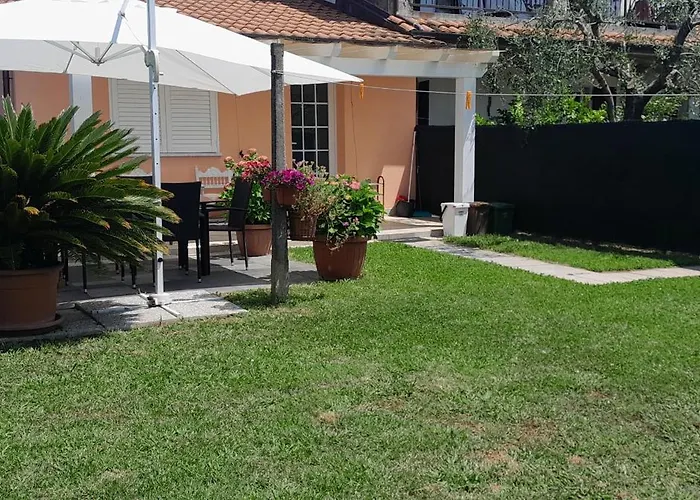 Gli Ulivi * Sarzana